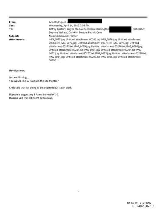 Preview of EFTA02316732