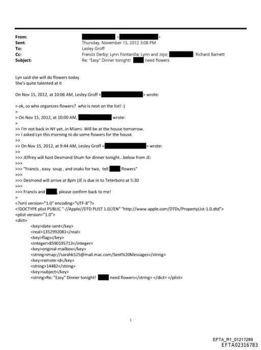 Preview of EFTA02316783