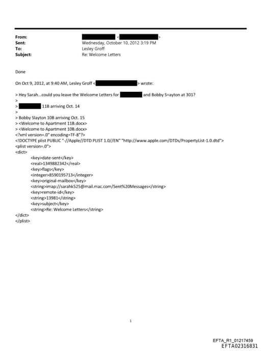 Preview of EFTA02316831