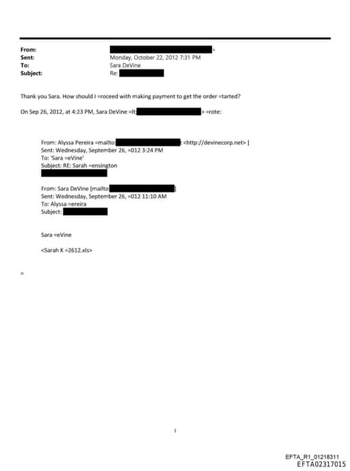 Preview of EFTA02317015