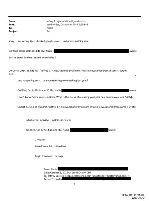 Preview of EFTA02592513