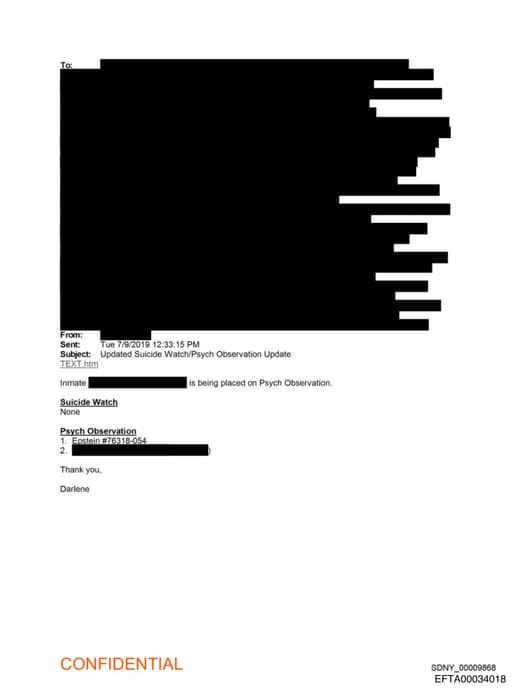 Preview of EFTA00034018