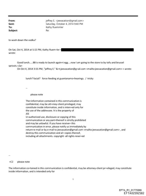 Preview of EFTA02592582