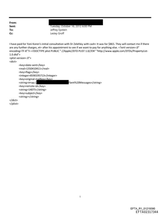 Preview of EFTA02317344