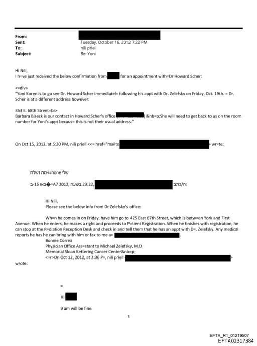 Preview of EFTA02317384