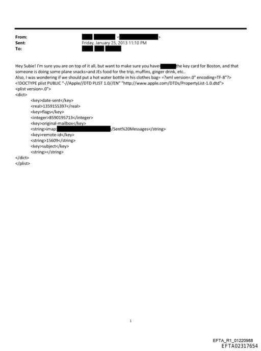 Preview of EFTA02317654