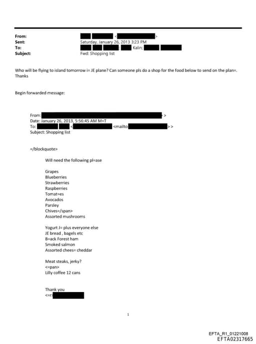 Preview of EFTA02317665