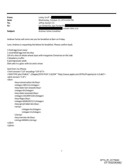 Preview of EFTA02593062