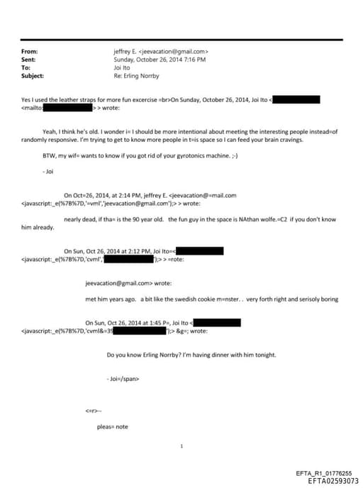 Preview of EFTA02593073