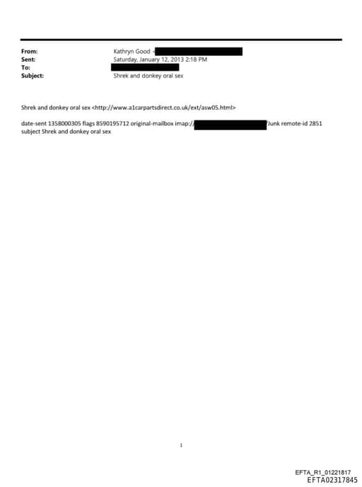 Preview of EFTA02317845