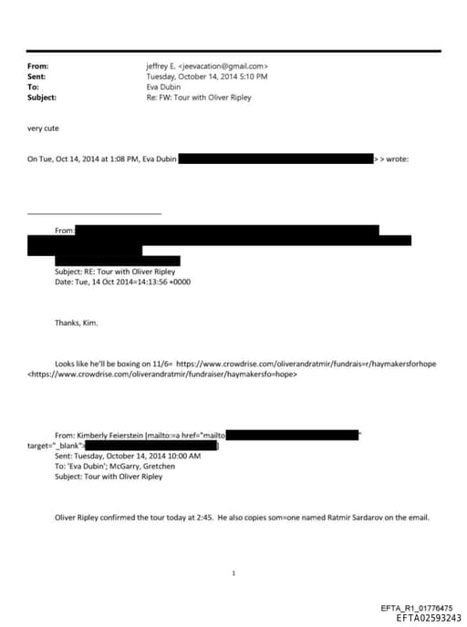 Preview of EFTA02593243