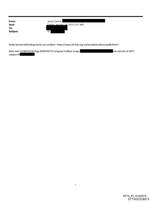 Preview of EFTA02318073