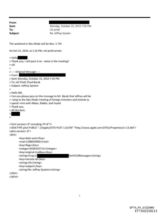 Preview of EFTA02318113