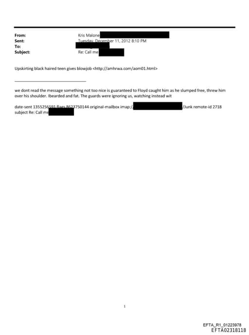 Preview of EFTA02318118