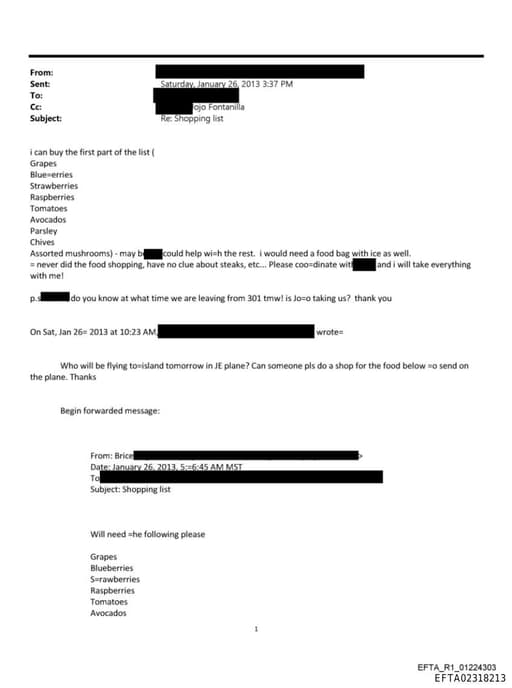 Preview of EFTA02318213