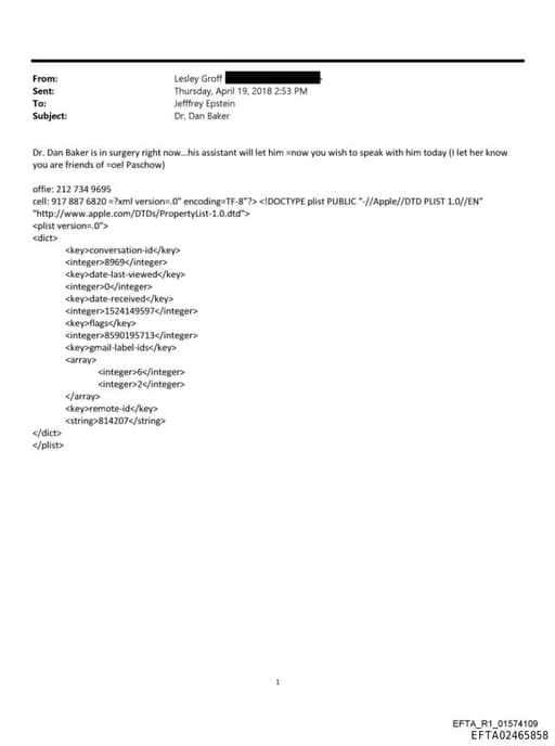 Preview of EFTA02465858