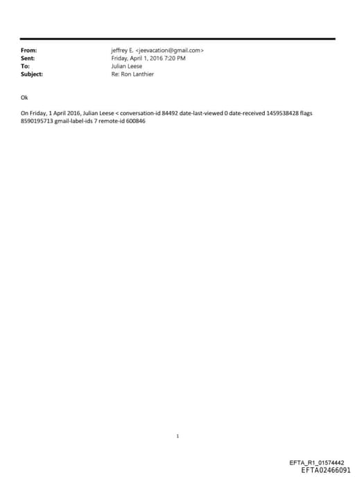 Preview of EFTA02466091