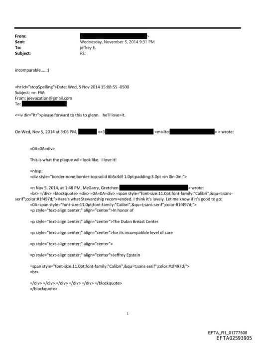 Preview of EFTA02593905