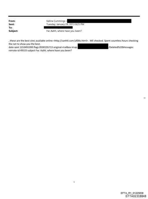 Preview of EFTA02318848