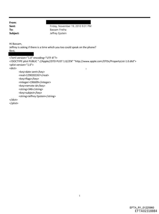 Preview of EFTA02318884