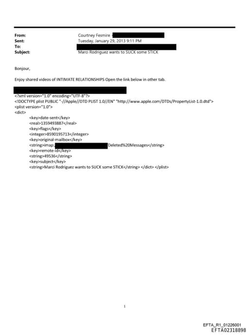 Preview of EFTA02318898