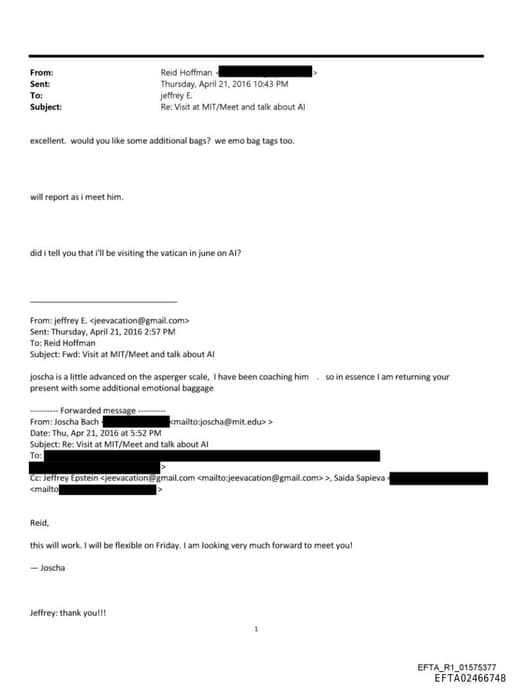 Preview of EFTA02466748