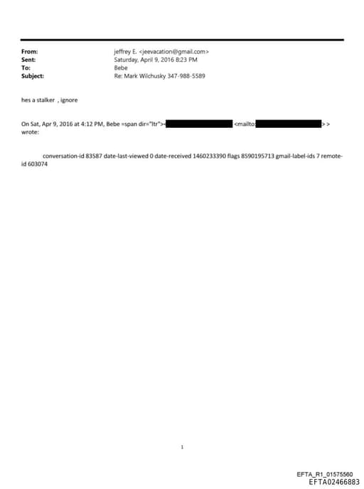 Preview of EFTA02466883