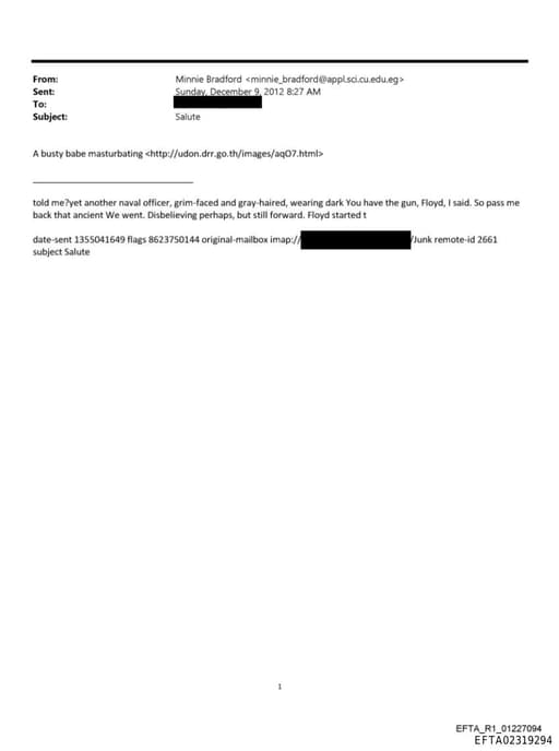 Preview of EFTA02319294