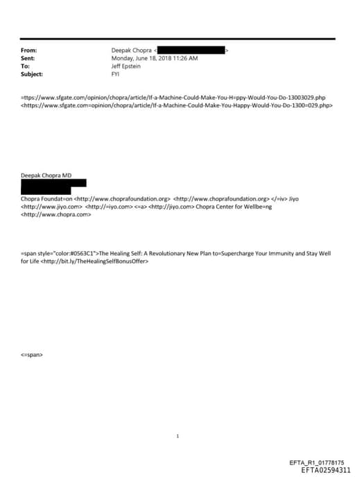 Preview of EFTA02594311