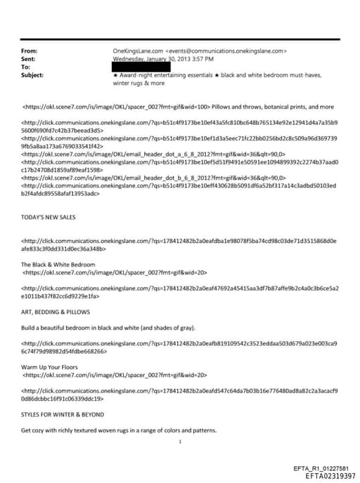 Preview of EFTA02319397