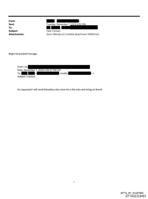 Preview of EFTA02319407