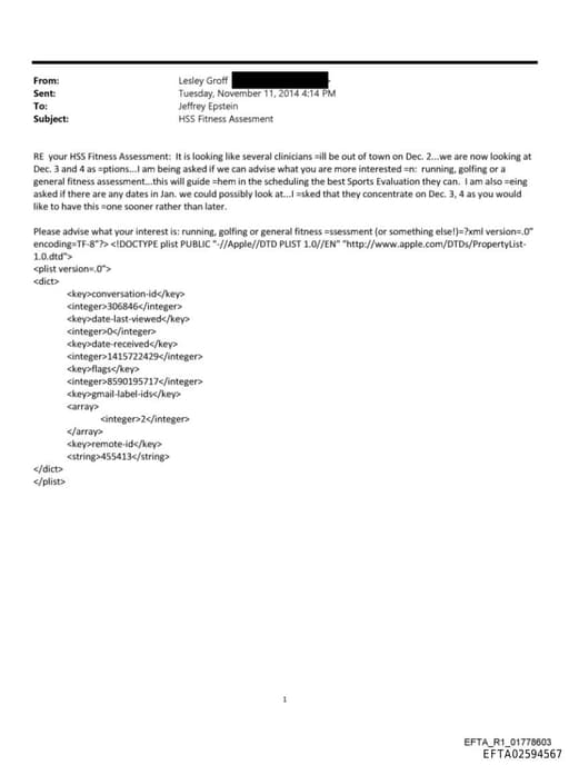 Preview of EFTA02594567