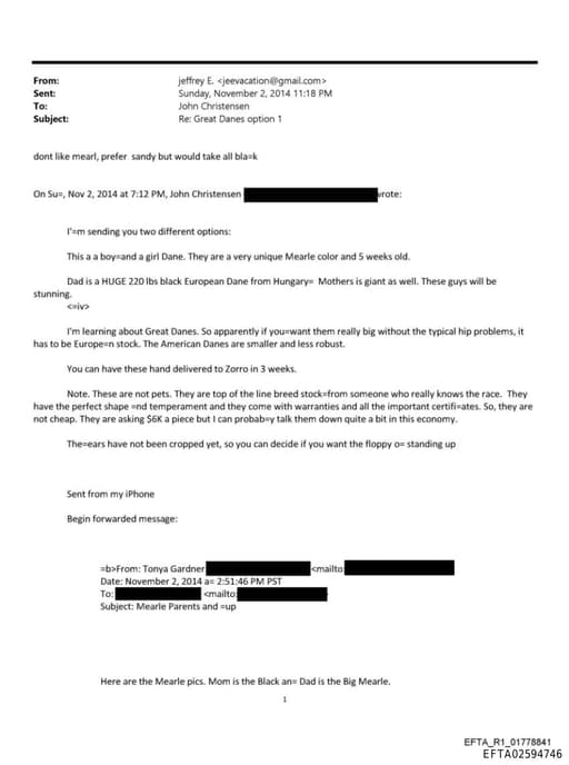 Preview of EFTA02594746