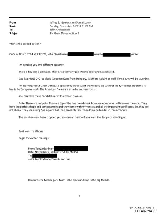 Preview of EFTA02594833