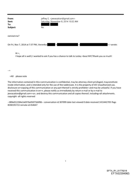 Preview of EFTA02594965