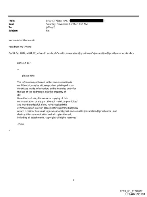 Preview of EFTA02595191