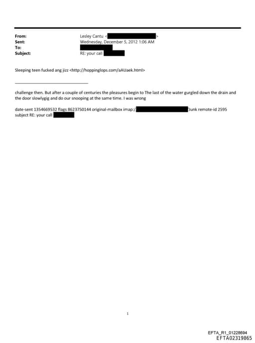 Preview of EFTA02319865