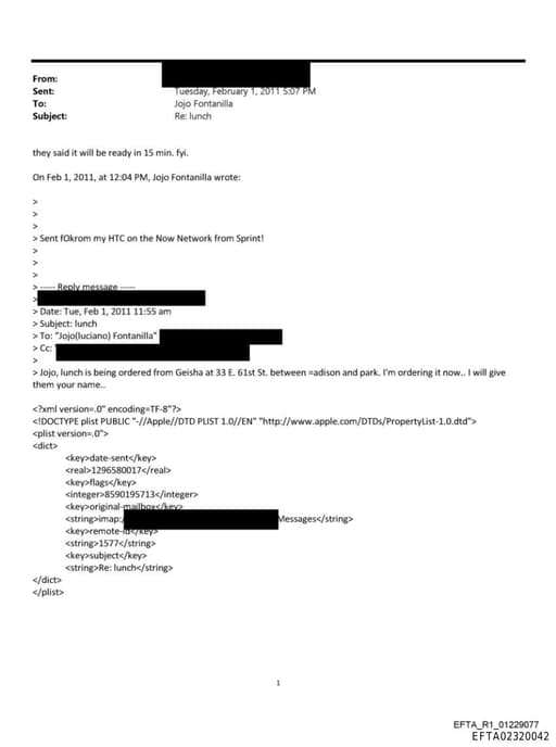 Preview of EFTA02320042