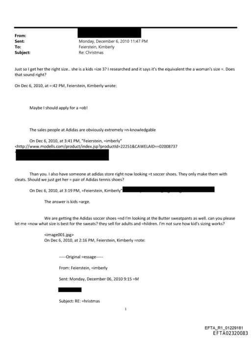 Preview of EFTA02320083