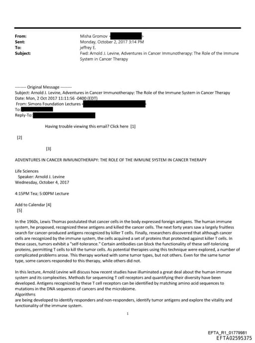 Preview of EFTA02595375