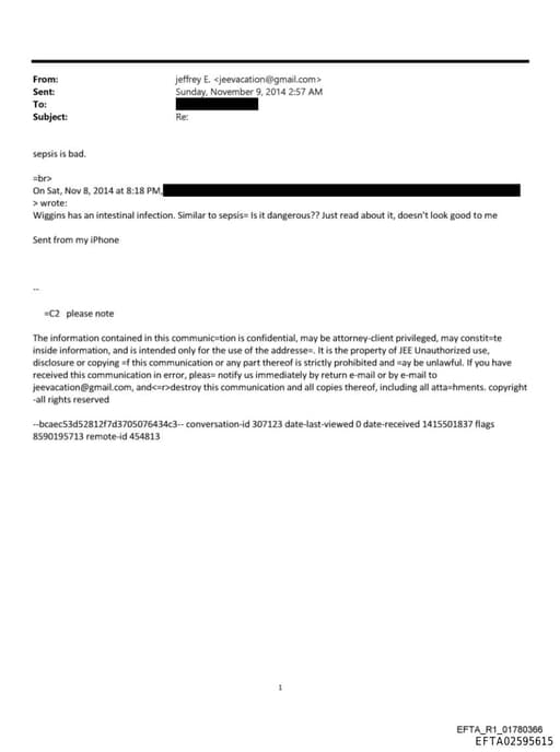 Preview of EFTA02595615