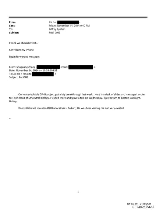 Preview of EFTA02595658