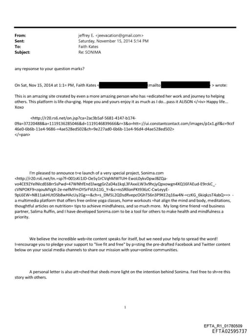 Preview of EFTA02595737