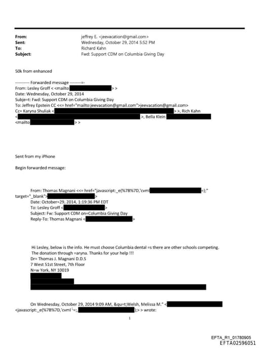 Preview of EFTA02596051