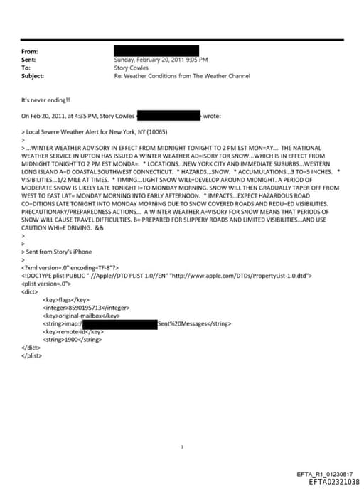 Preview of EFTA02321038