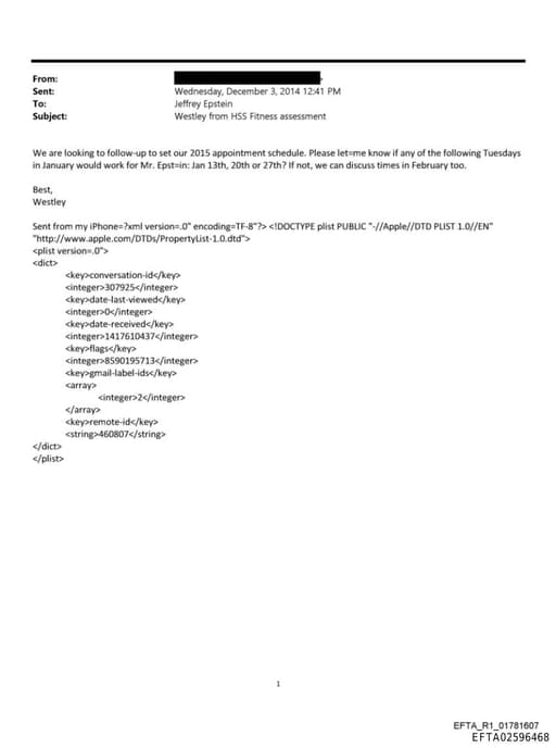 Preview of EFTA02596468