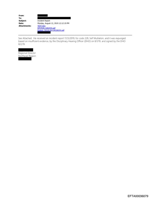 Preview of EFTA00036079