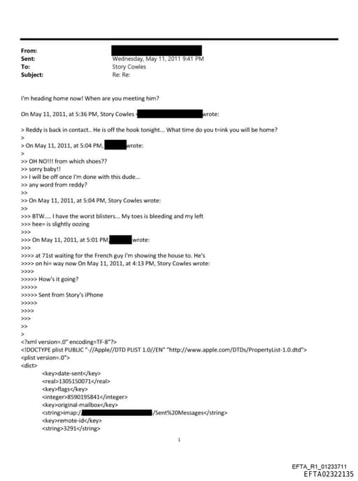 Preview of EFTA02322135