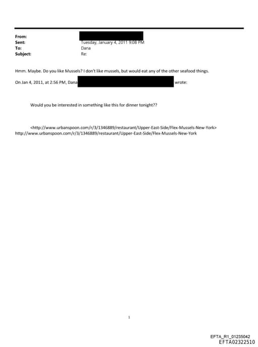 Preview of EFTA02322510