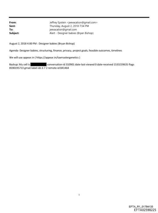 Preview of EFTA02598225